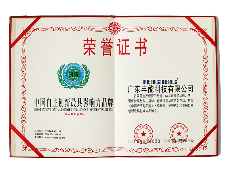 中国自主创新最具影响力品牌证书