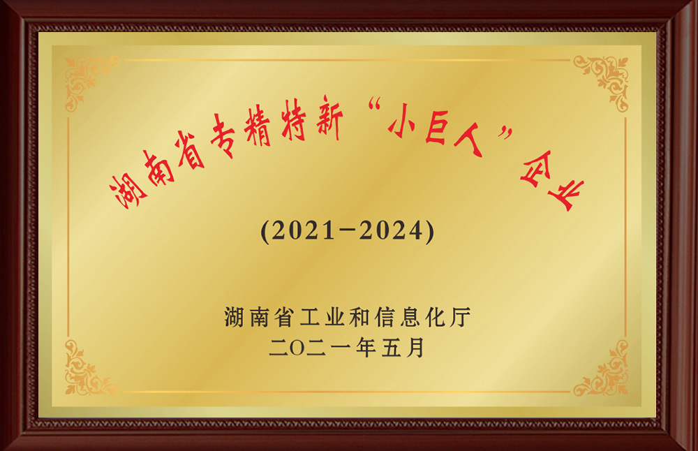 湖南省專(zhuān)精特新“小巨人”企業(yè)