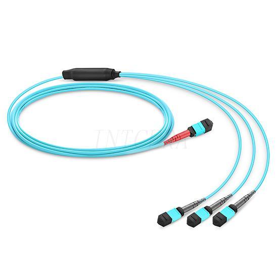 24mtp-8x3mtp-om3-cable