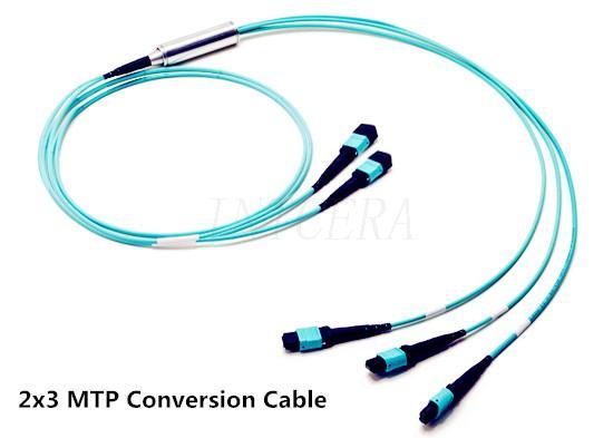 2x3-MTP-conversion-cable