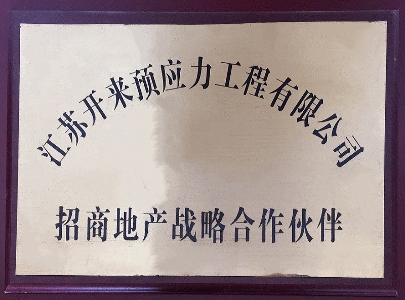 招商地產(chǎn)戰(zhàn)略合作伙伴