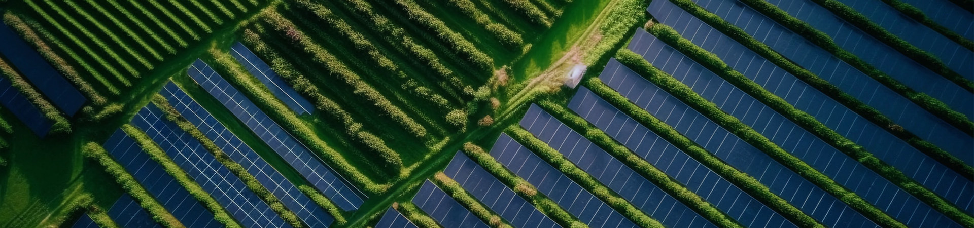 product-product-anhui-sungeter-energy