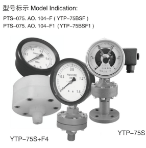 YTF-75mm直徑全塑隔膜壓力表