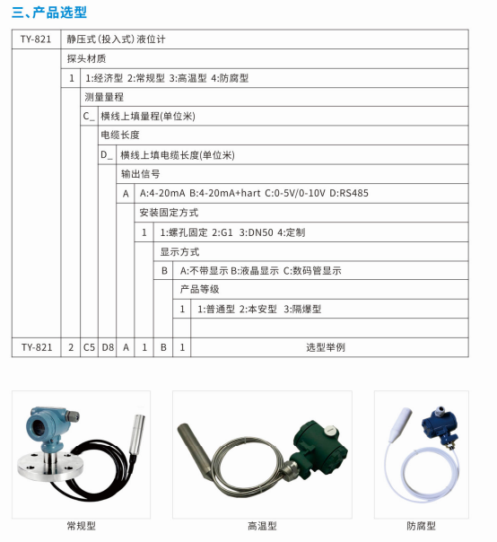 投入式