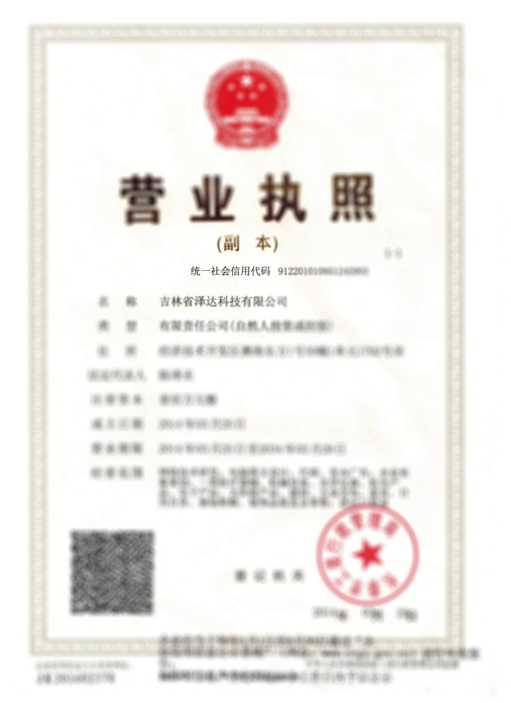 Business License