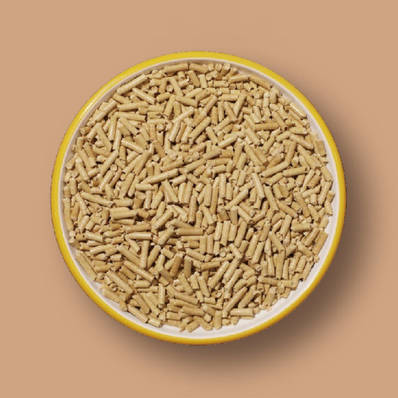 豌豆蛋白顆粒