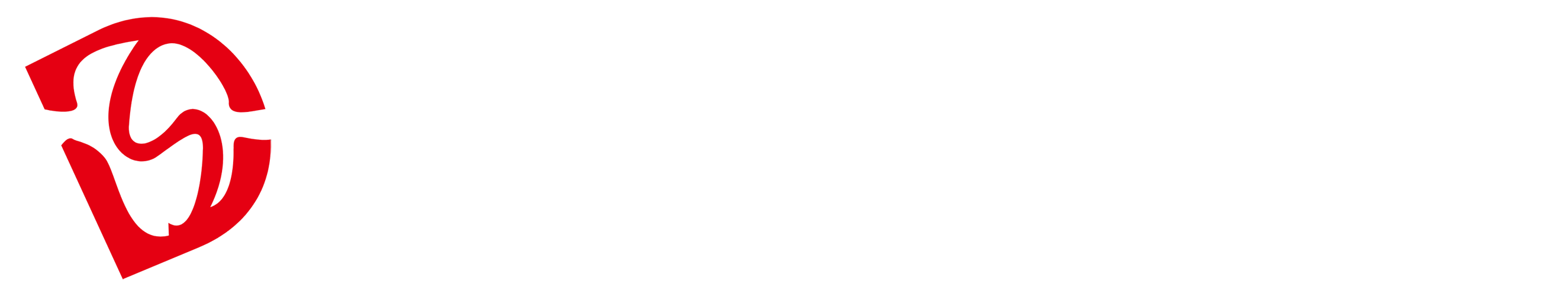 湘潭東升電氣制造有限公司