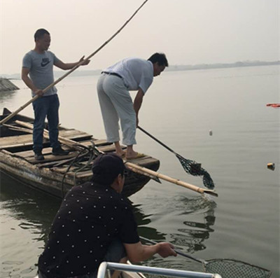 打撈湖面漂浮物，凈化水環(huán)境