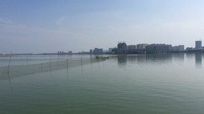 梁子湖水產(chǎn)集團關(guān)于湖區(qū)設(shè)置臨時撈捕工具網(wǎng)的公告