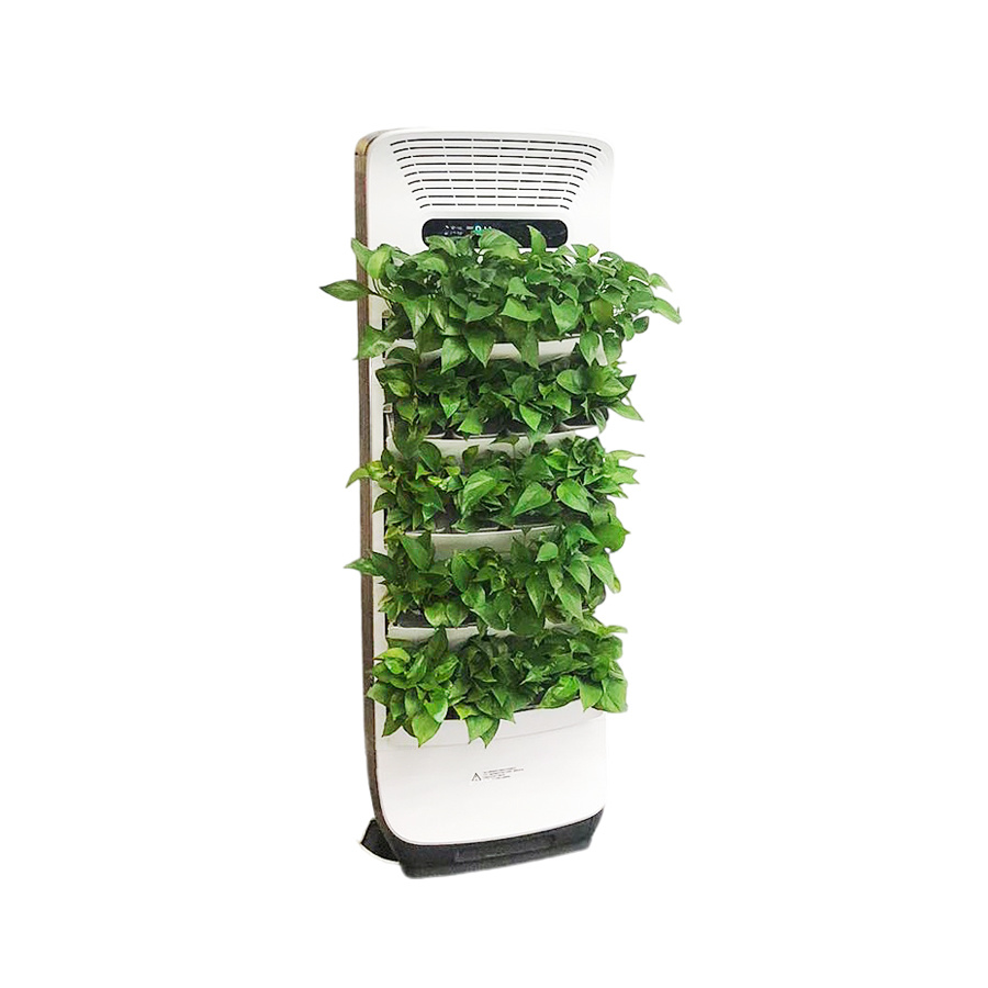 森境5系綠植凈化器