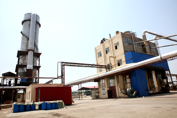 Strong propyl methylcellulose market in an environmentally friendly environment