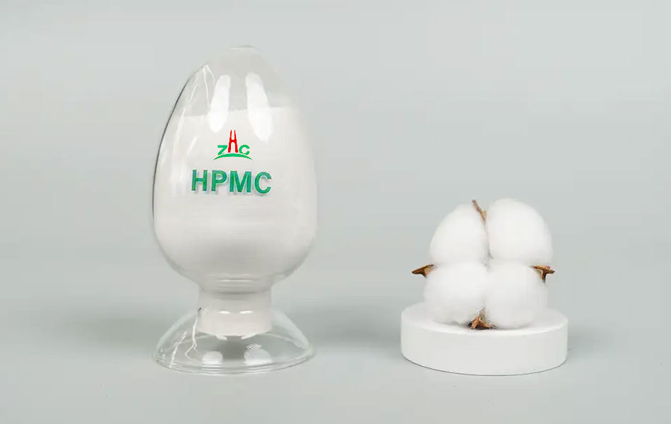 Hydroxypropyl Methyl Cellulose (HPMC)
