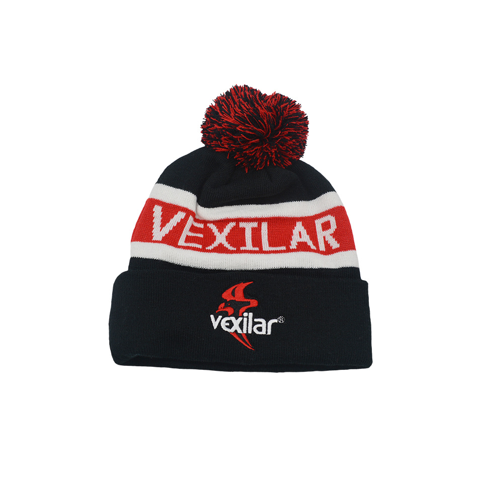 High Quality Promotional Knitted Fashion Designer Beanie Pom Pom Hats Embroidered Custom Pom Beanie Hat