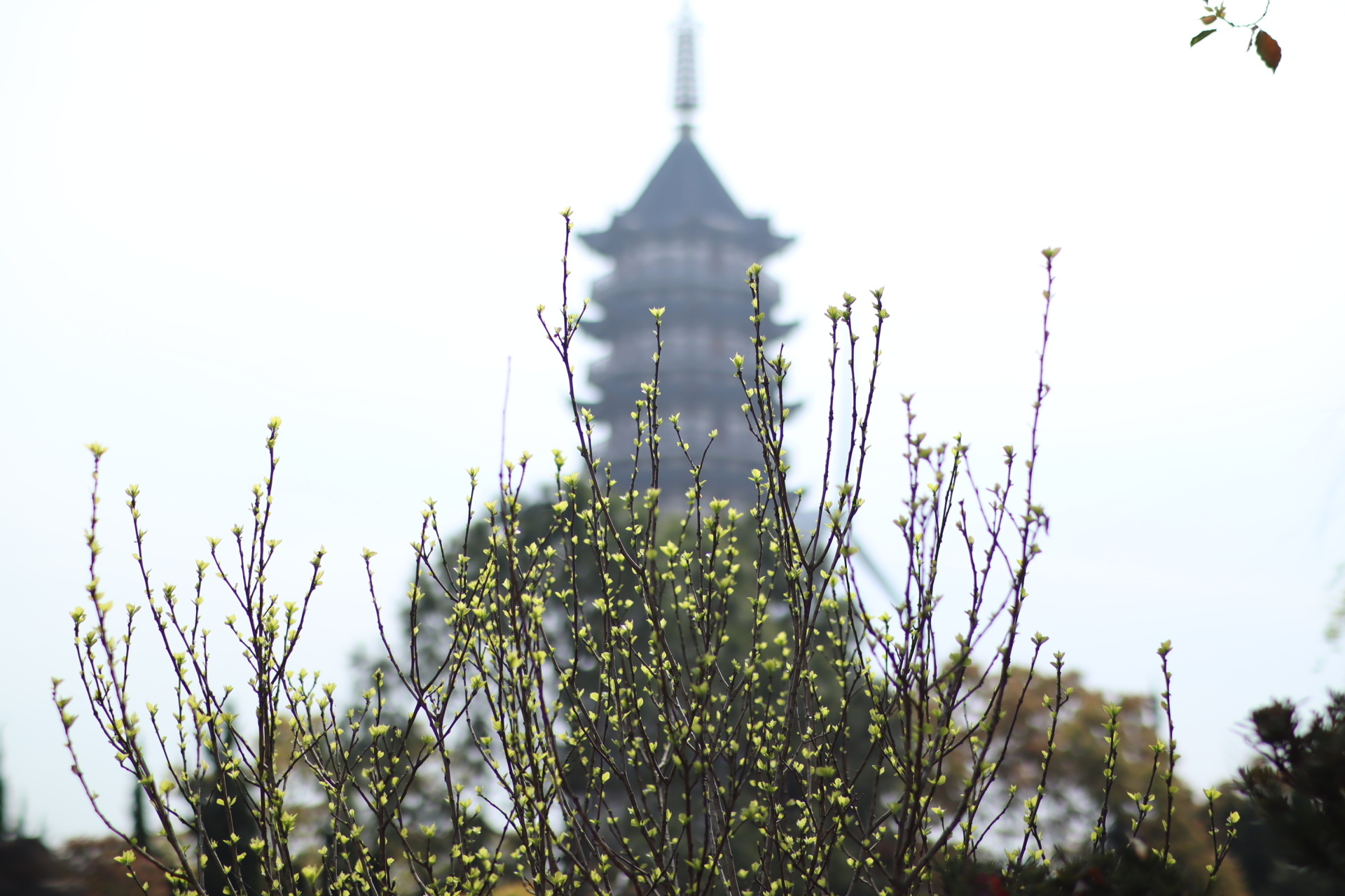 上海公墓