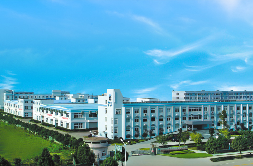 公司遠(yuǎn)景