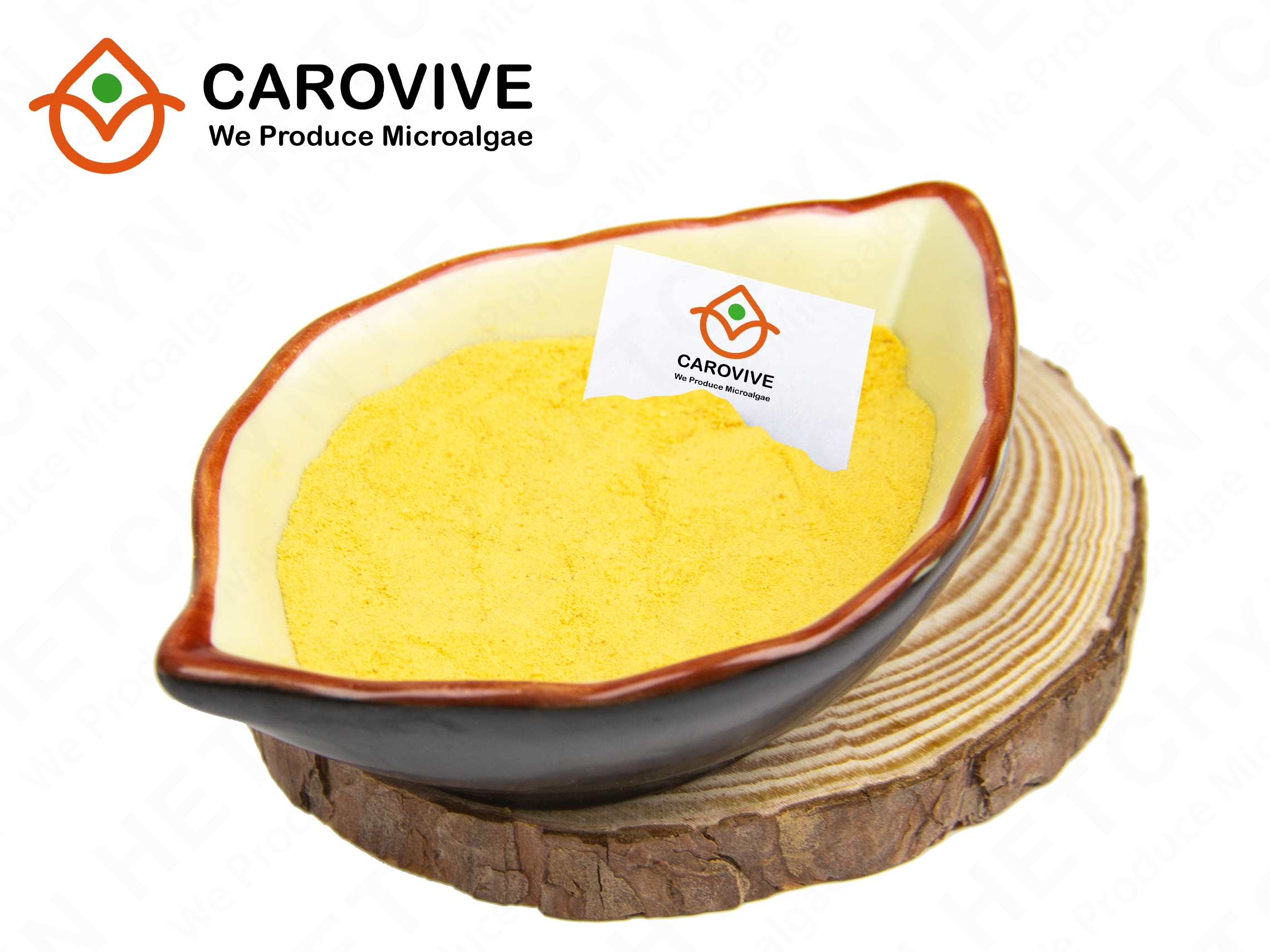 cheap Dunaliella salina from China manufacturer