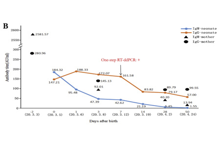 可能存在宫内感染：出生后50天内核酸检测结果阳性和SARS-CoV-2特异性抗体水平持续阳性