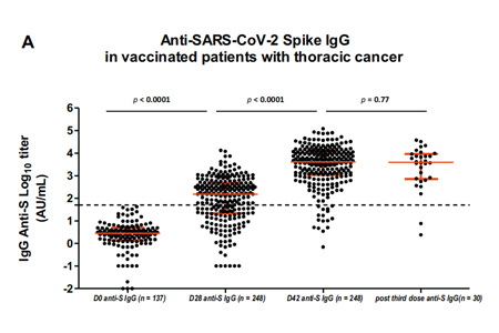新冠疫苗在胸部癌症患者中的疗效：一项支持在两次疫苗接种后对血清学反应最小的患者进行第三次接种的前瞻性研究