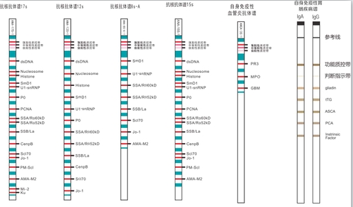 免疫印跡試劑項目