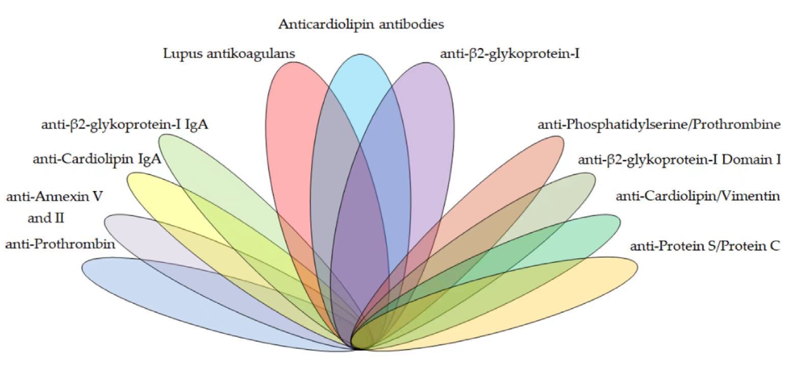 關于抗β2糖蛋白I結構域1抗體，你需要知道的...