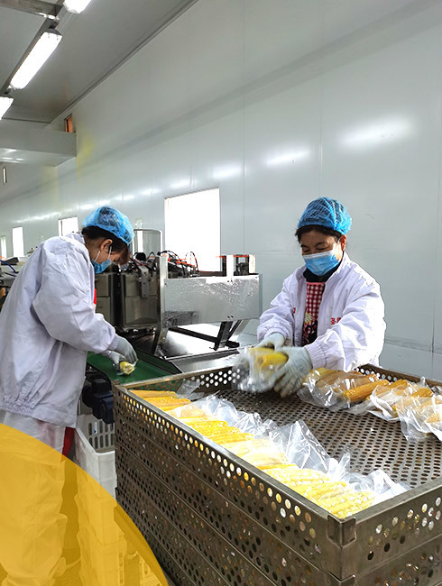 通化圣昌食品有限公司