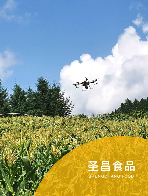 通化圣昌食品有限公司