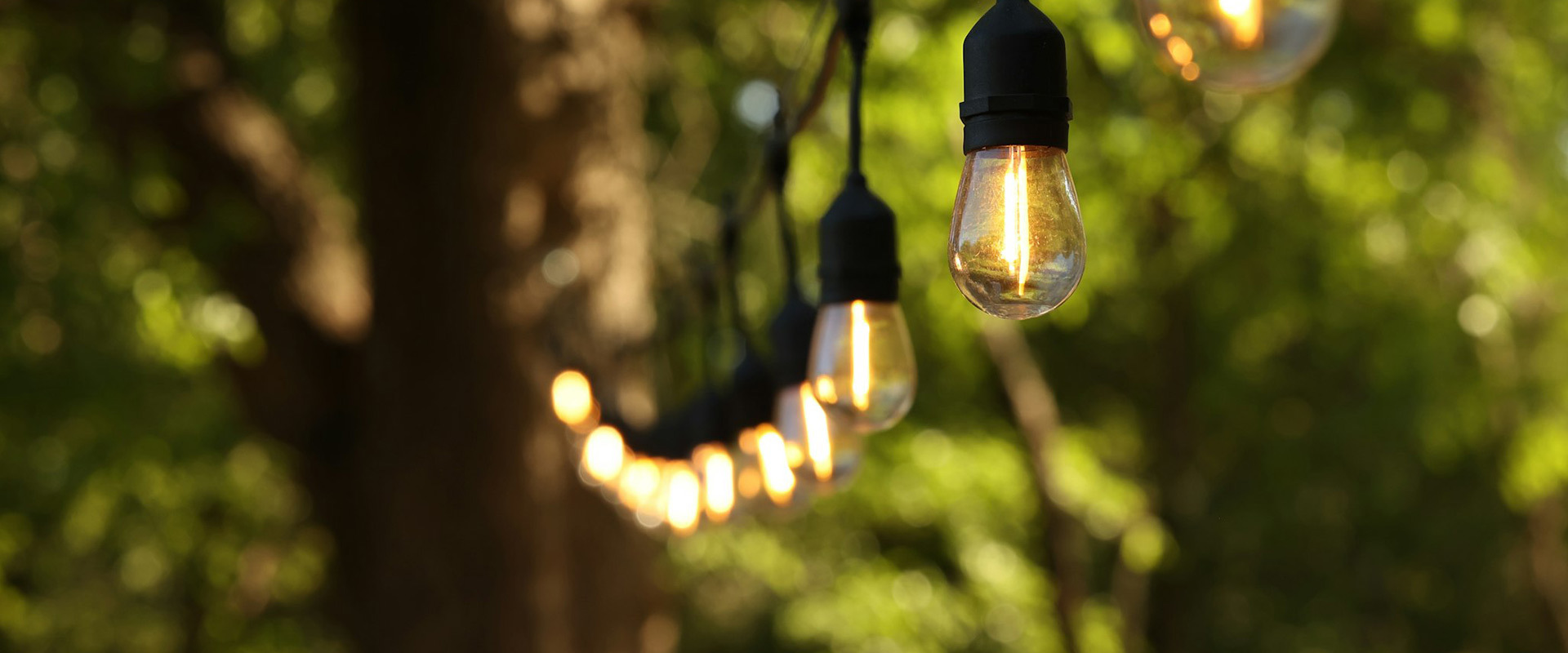 Holiday outdoor lights are a fantastic way to add a touch of magic and festivity to your home during the holiday season.