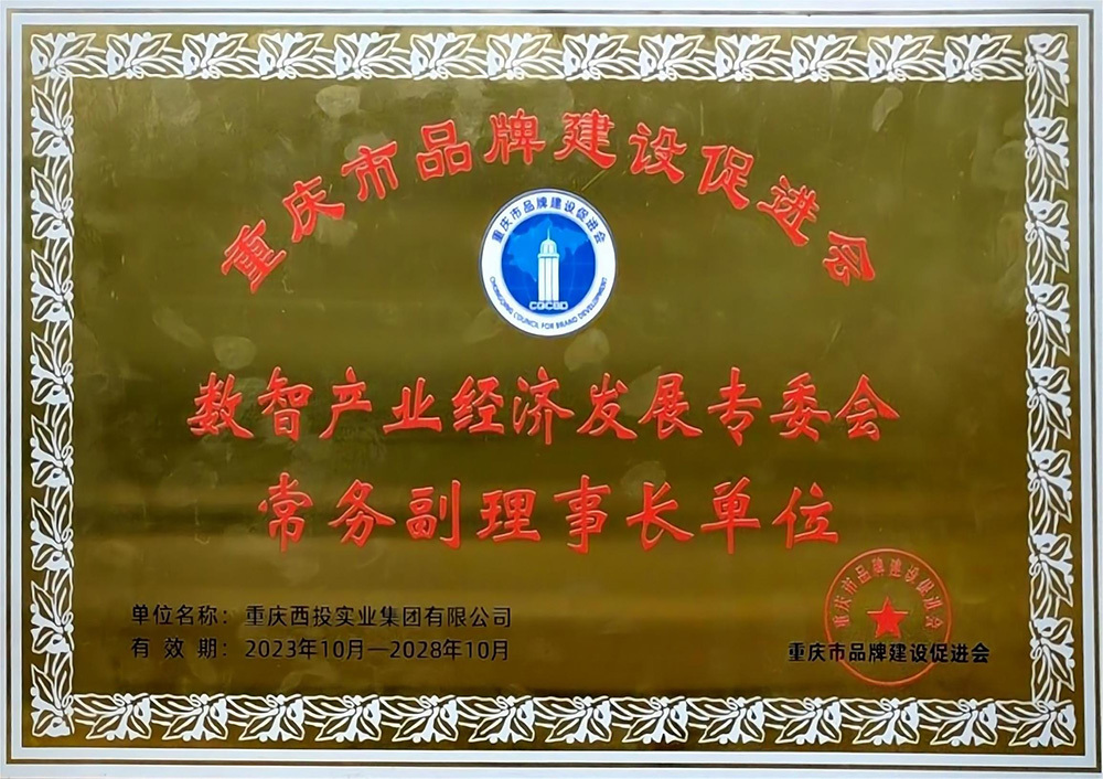 數(shù)智產(chǎn)業(yè)經(jīng)濟發(fā)展專委會常務(wù)副理事長單位