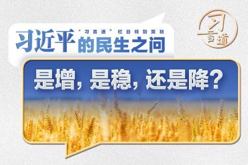 習近平的民生之問｜“是增，是穩(wěn)，還是降？”