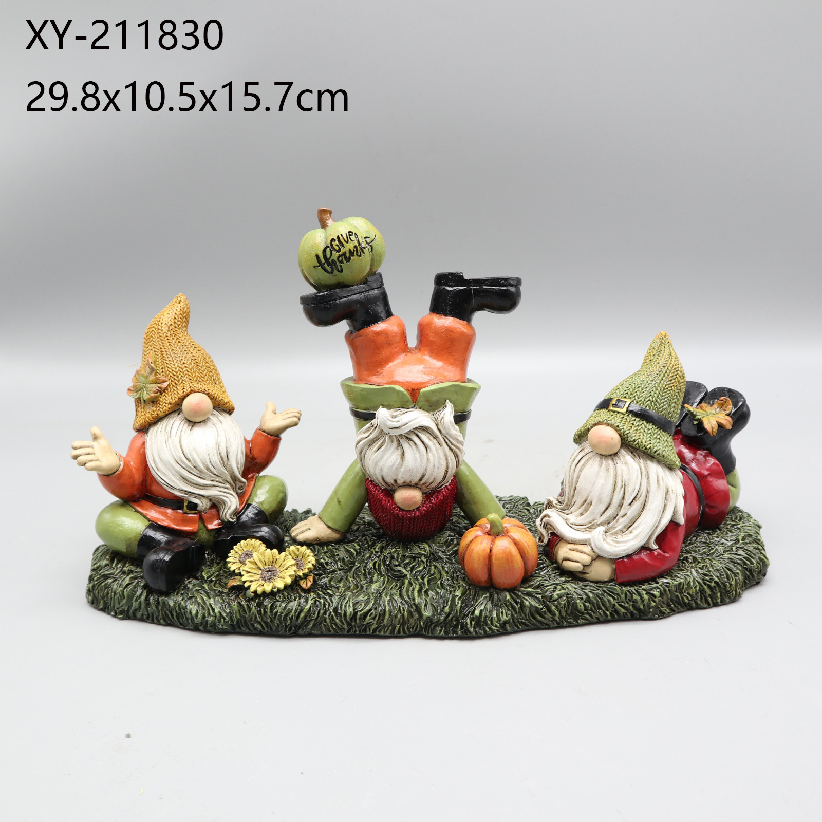 XY-211830