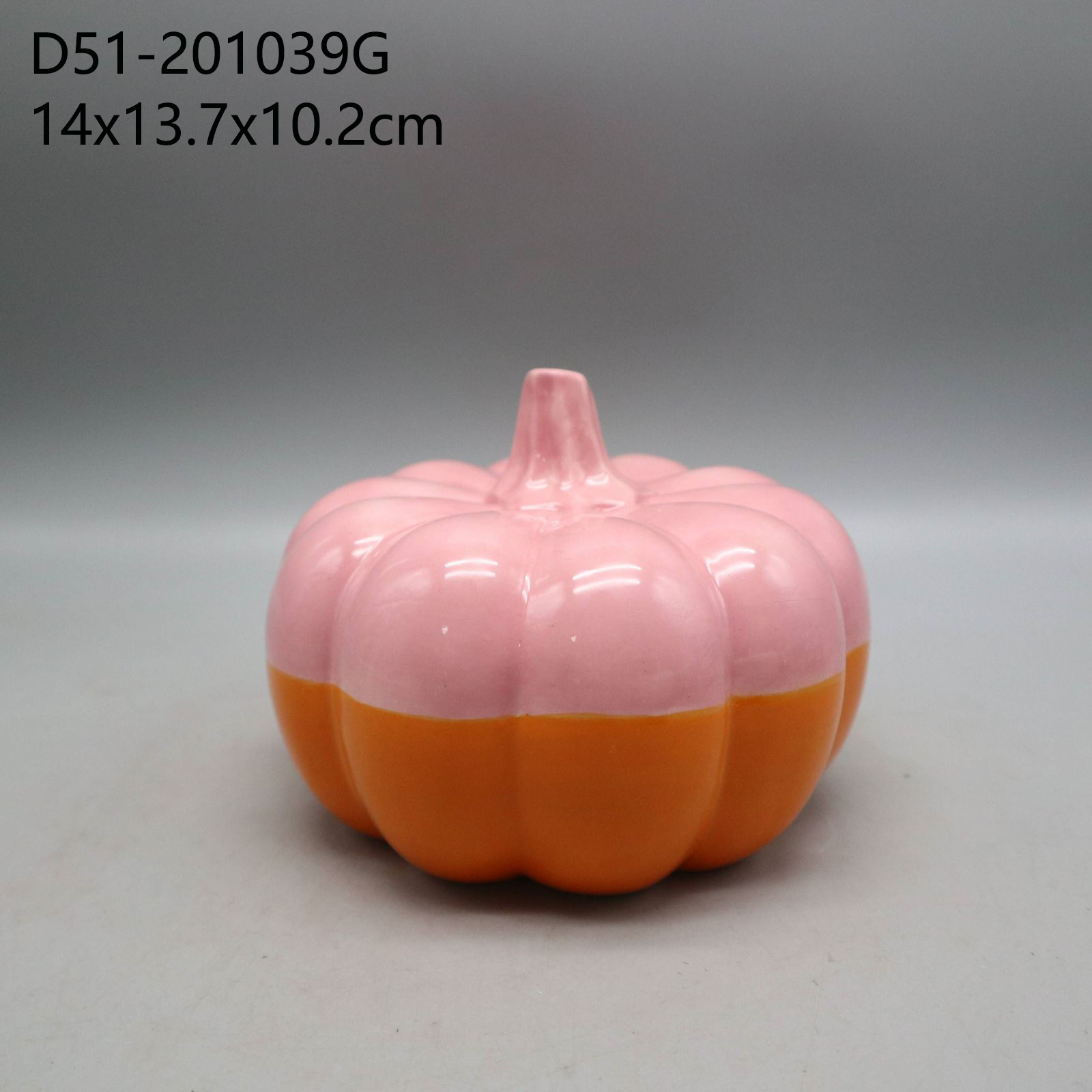 D51-201039G