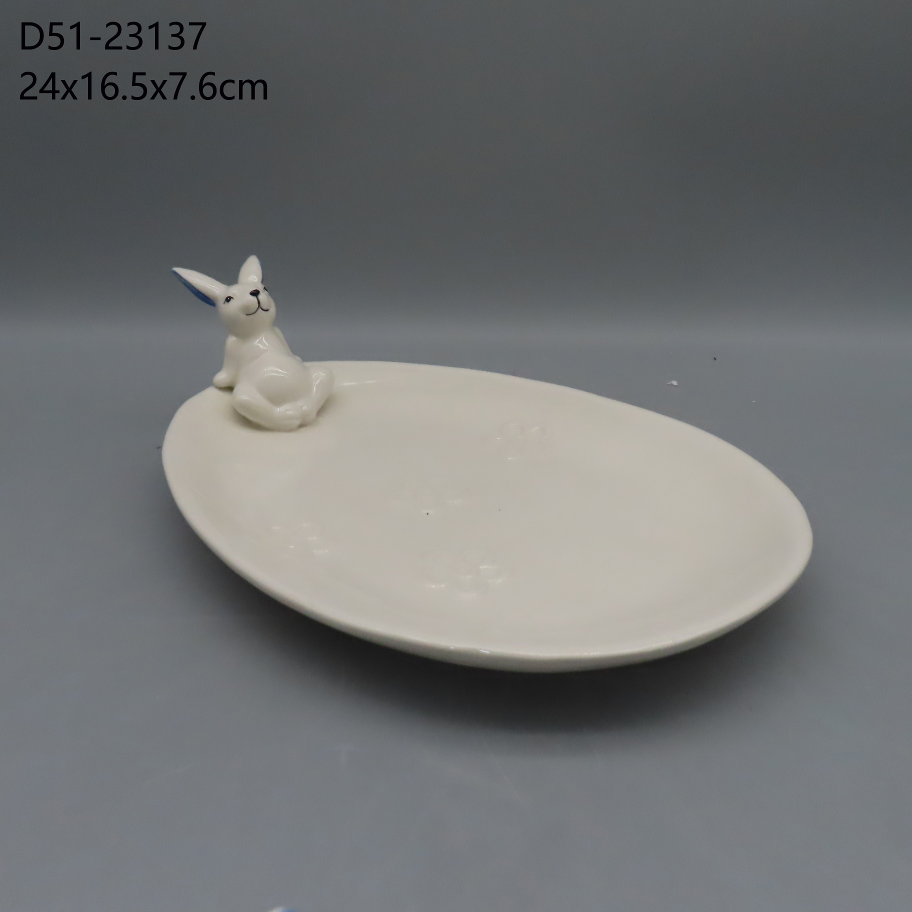 D51-23137 D51-23137