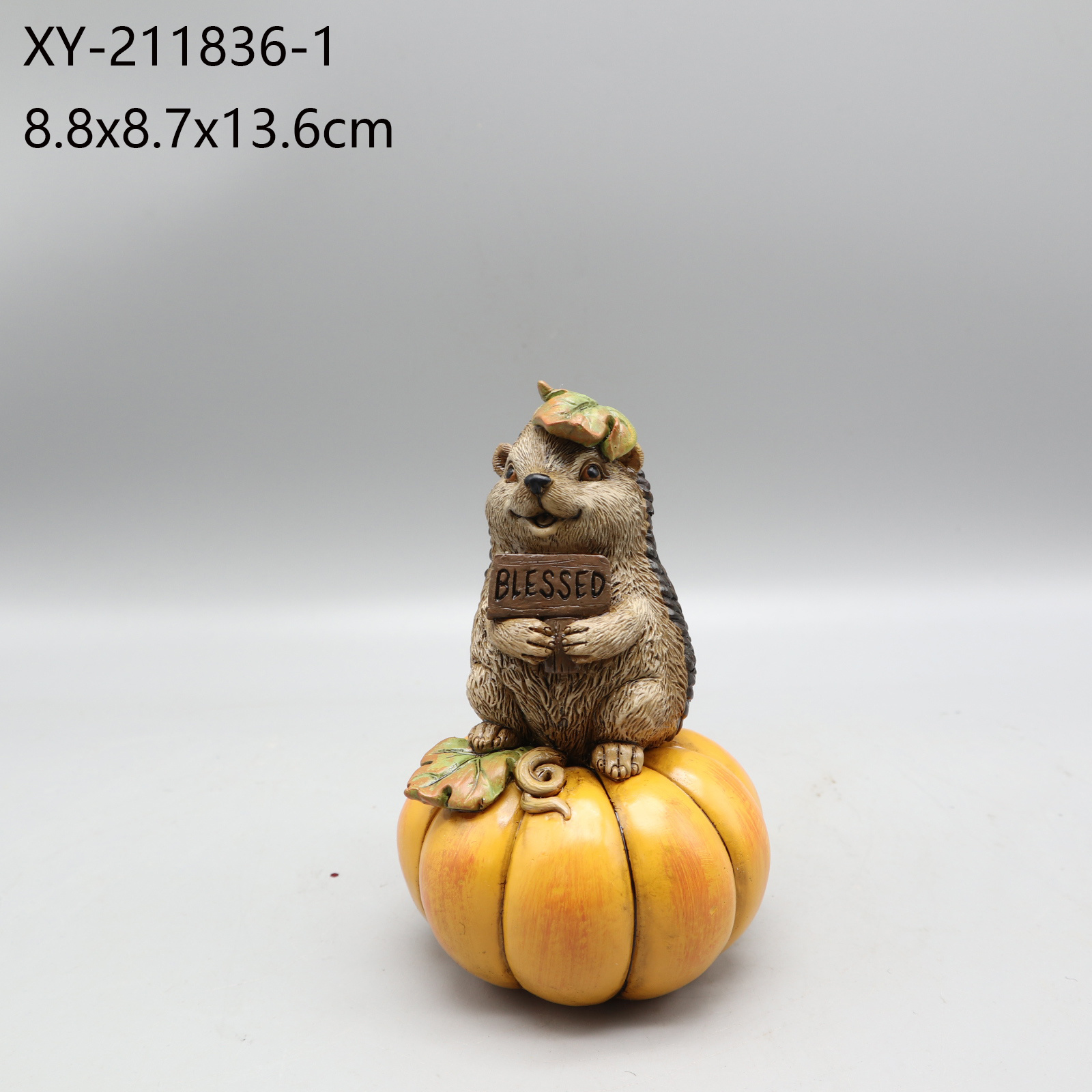 XY-211836-1