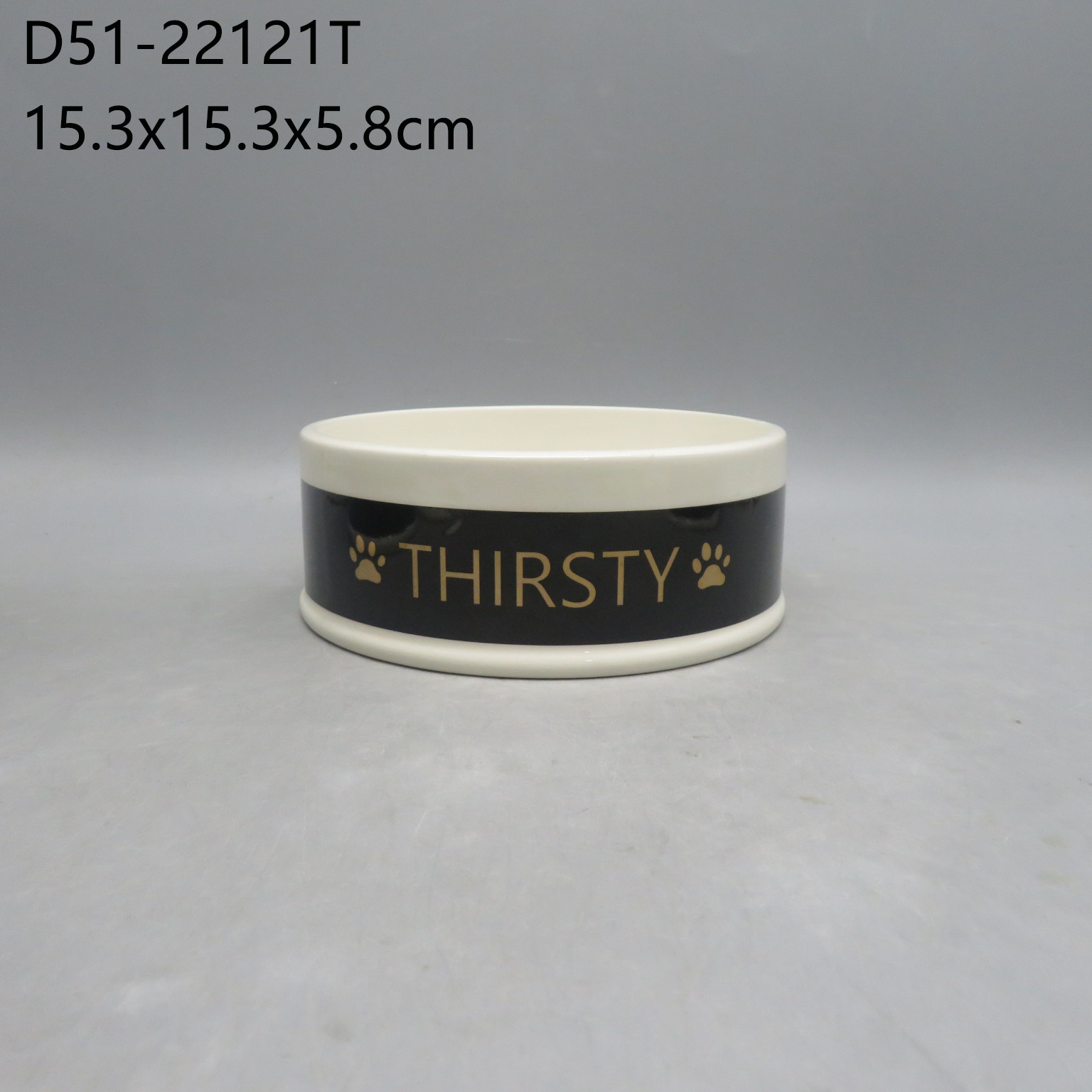D51-22121T