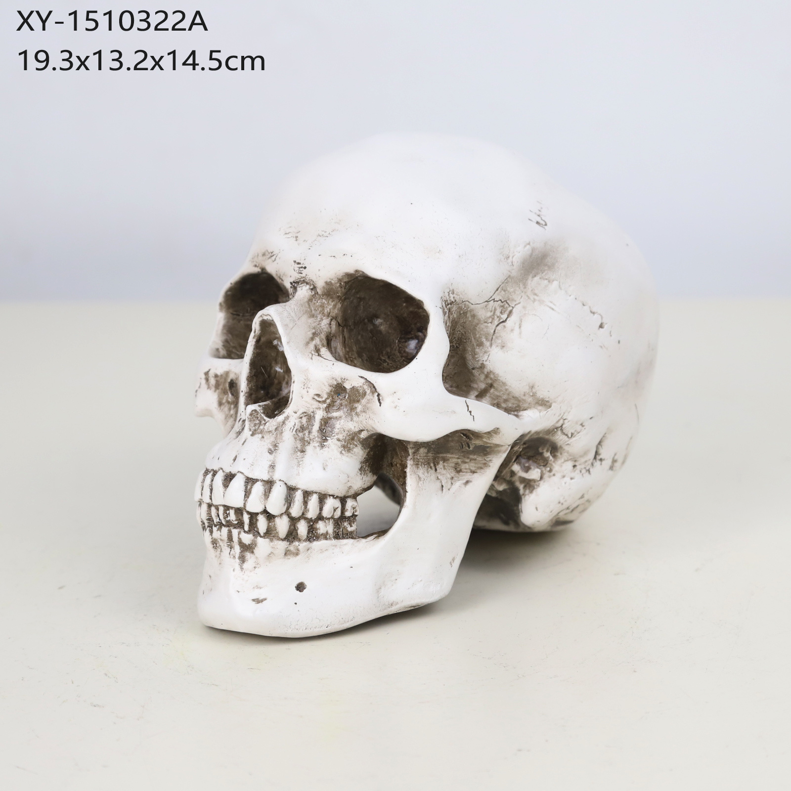 XY-1510322