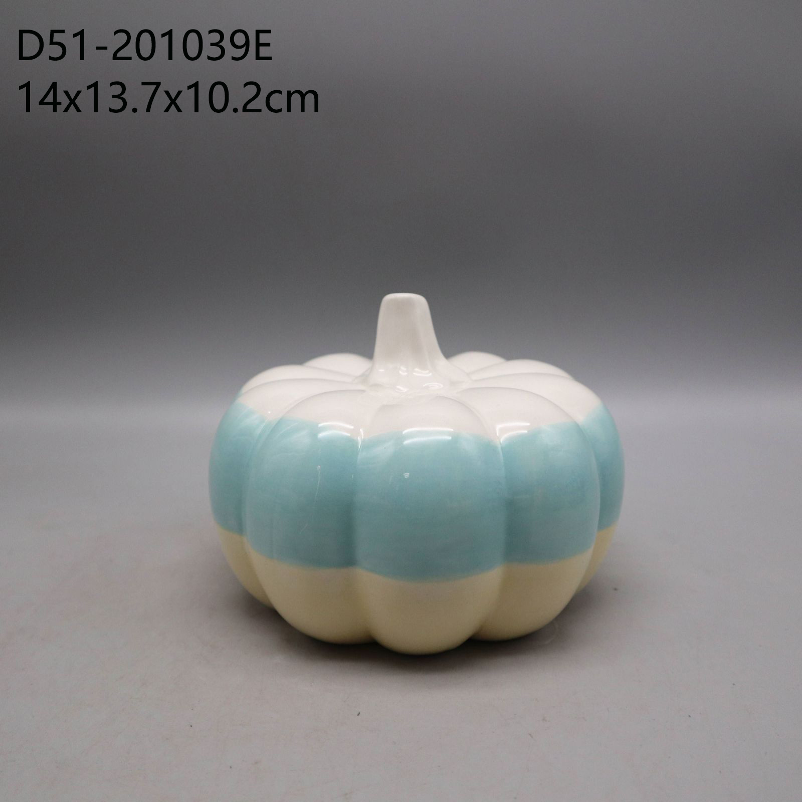 D51-201039E