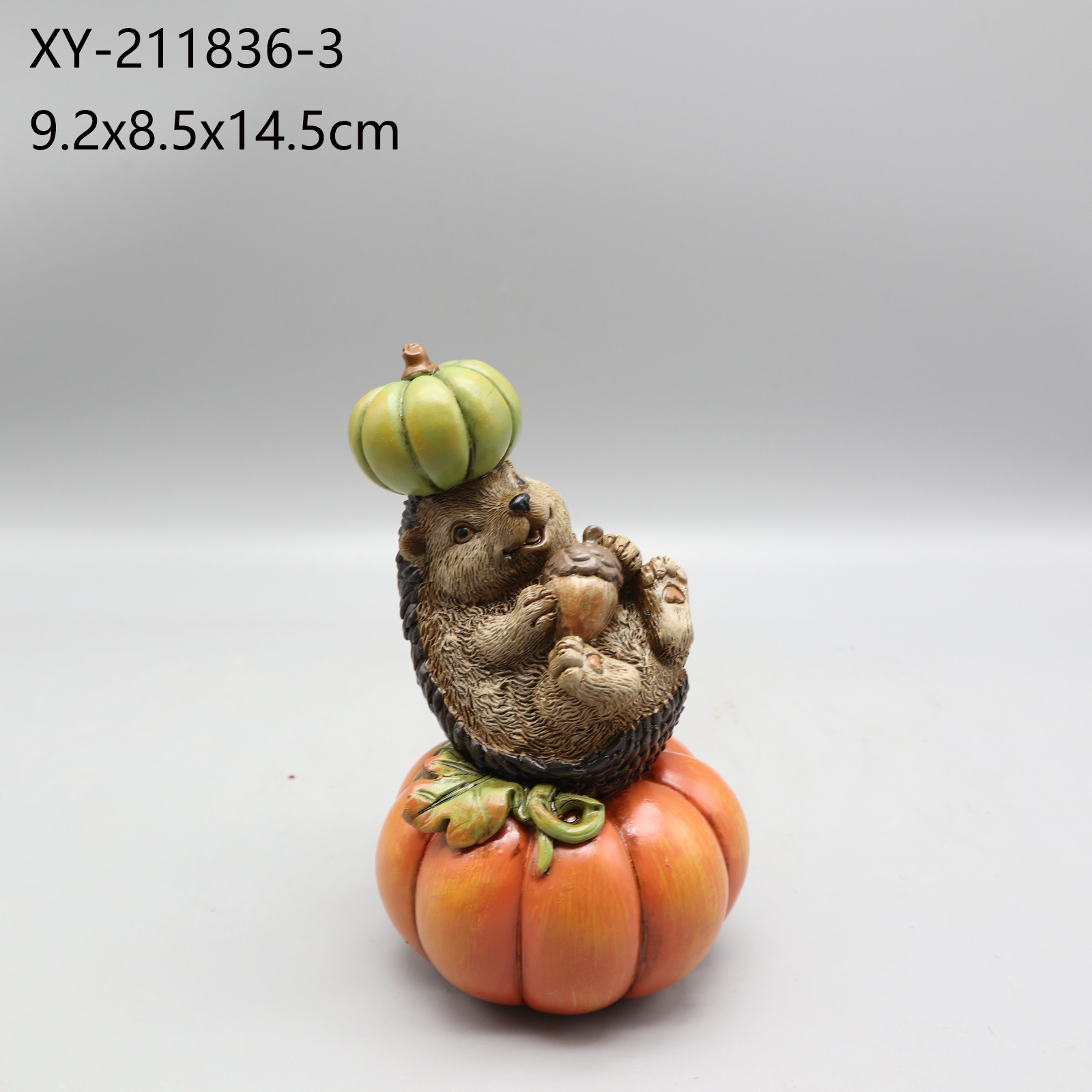 XY-211836-3