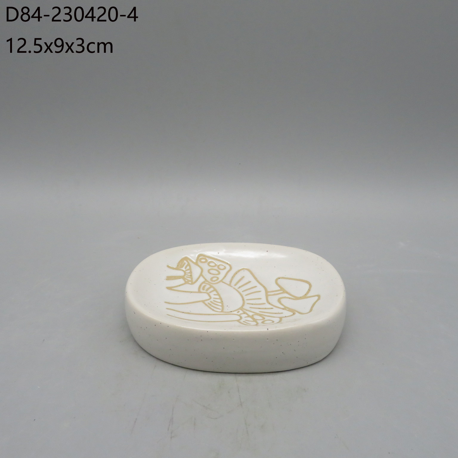 D84-230420-4