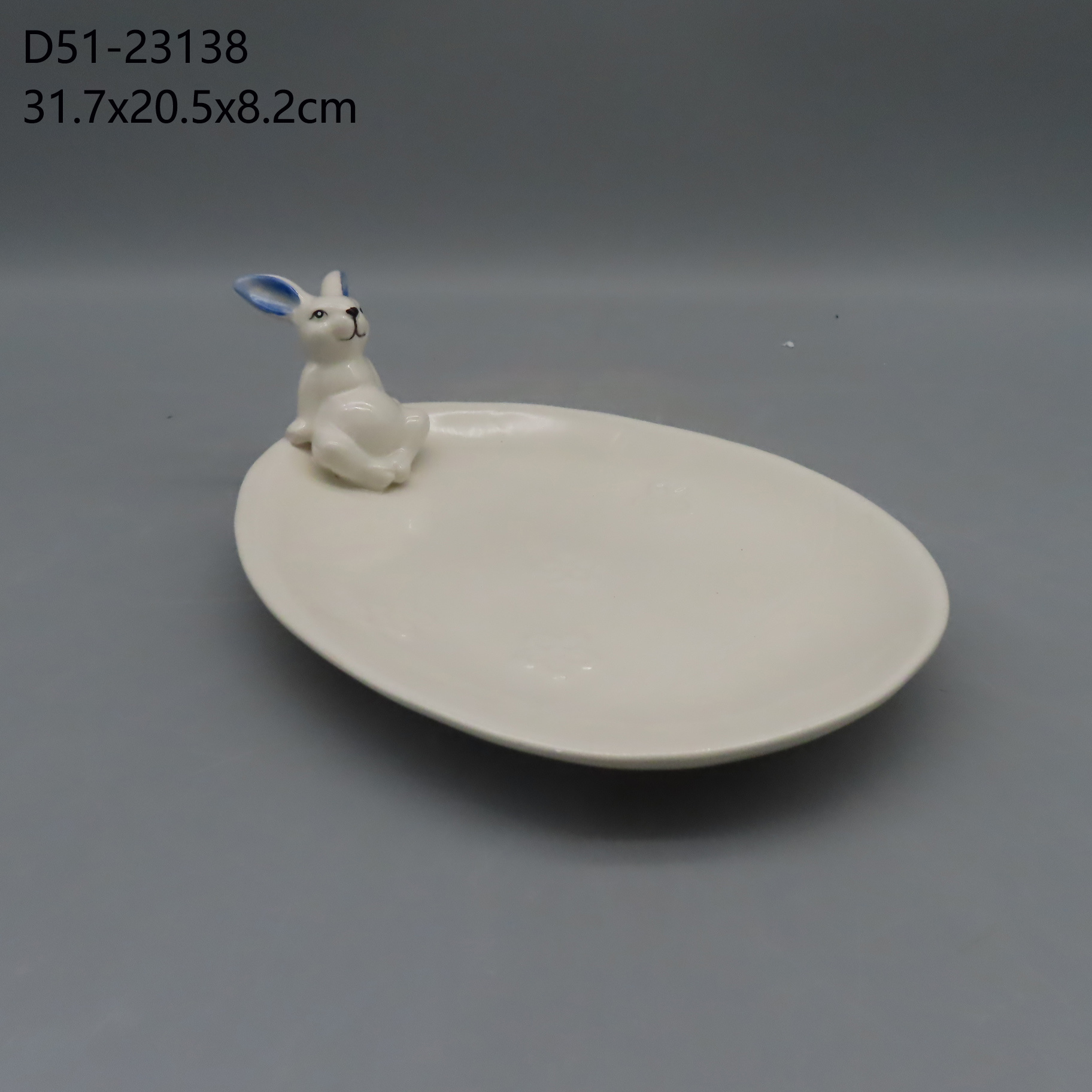 D51-23138 D51-23138