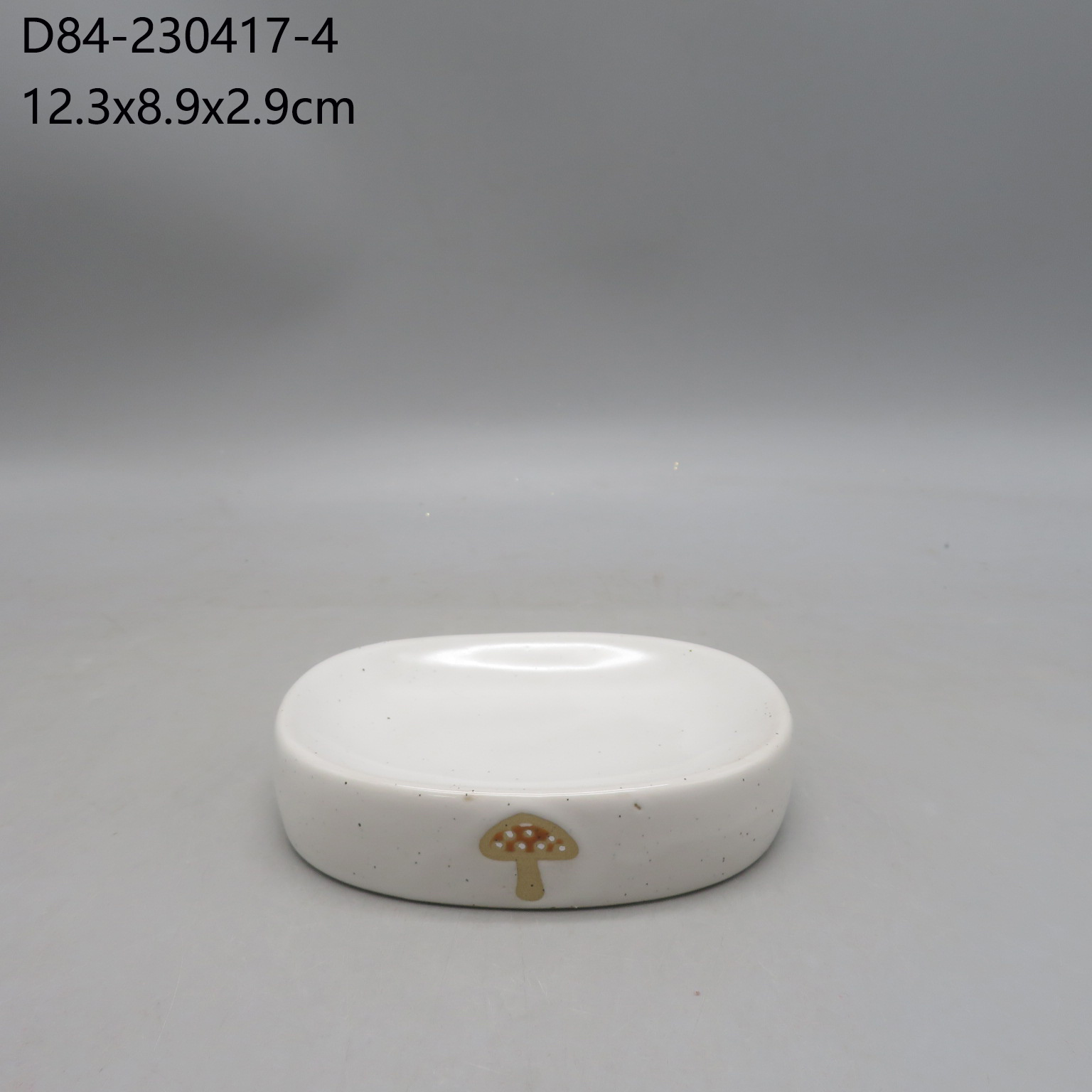 D84-230417-4