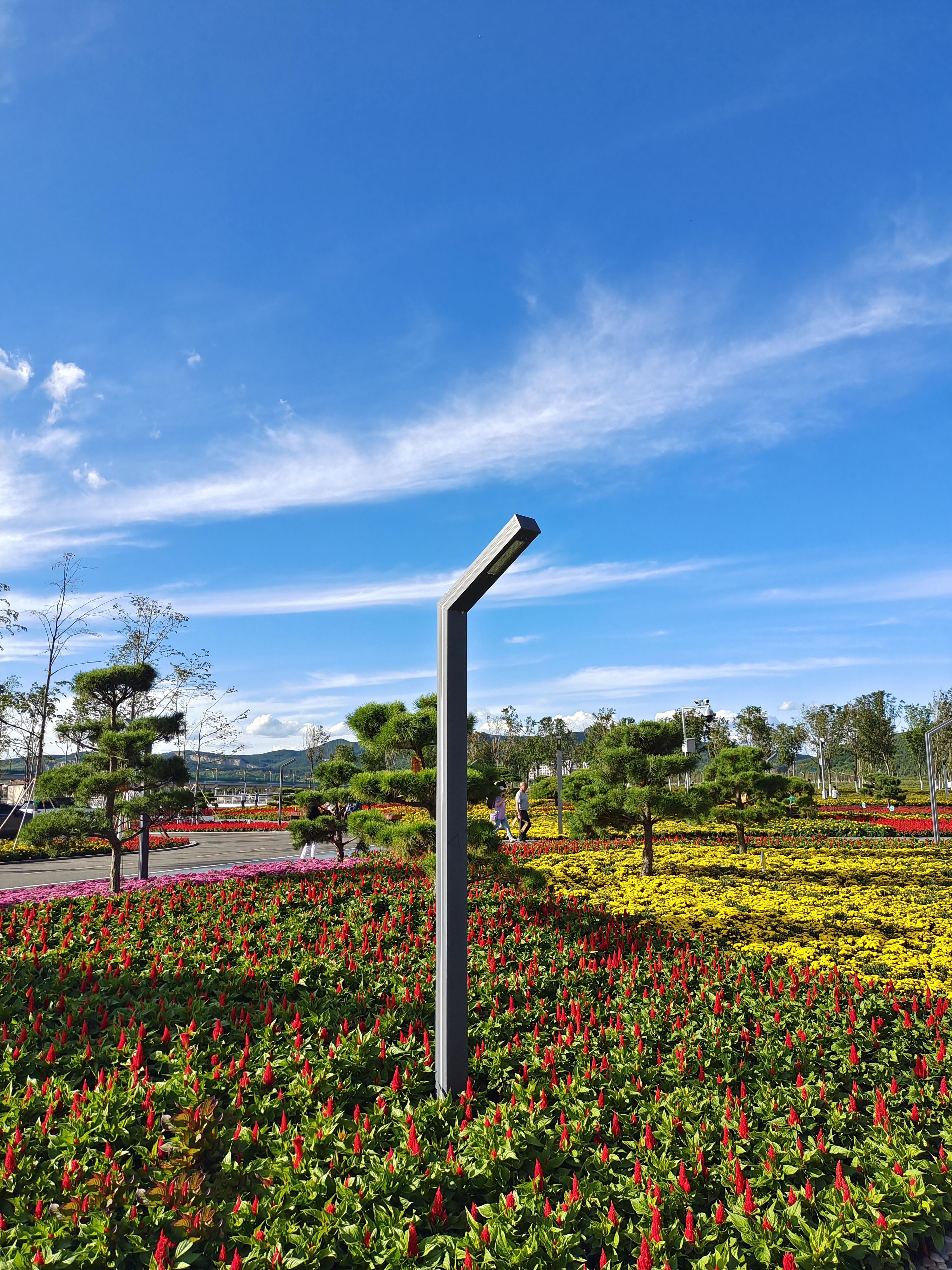 Qitaihe Taoshan Lake Wetland Park