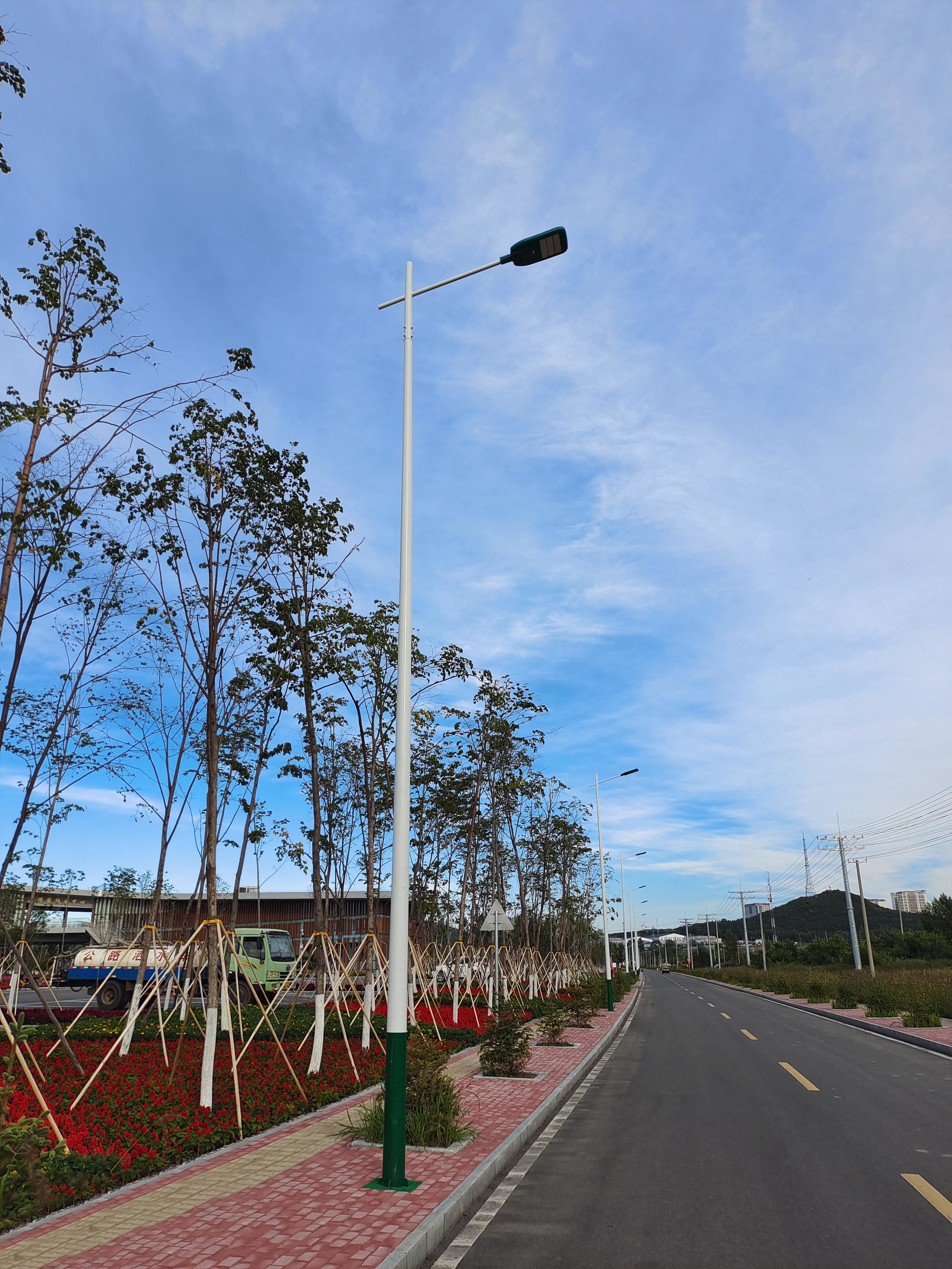 Qitaihe Taoshan Lake Wetland Park