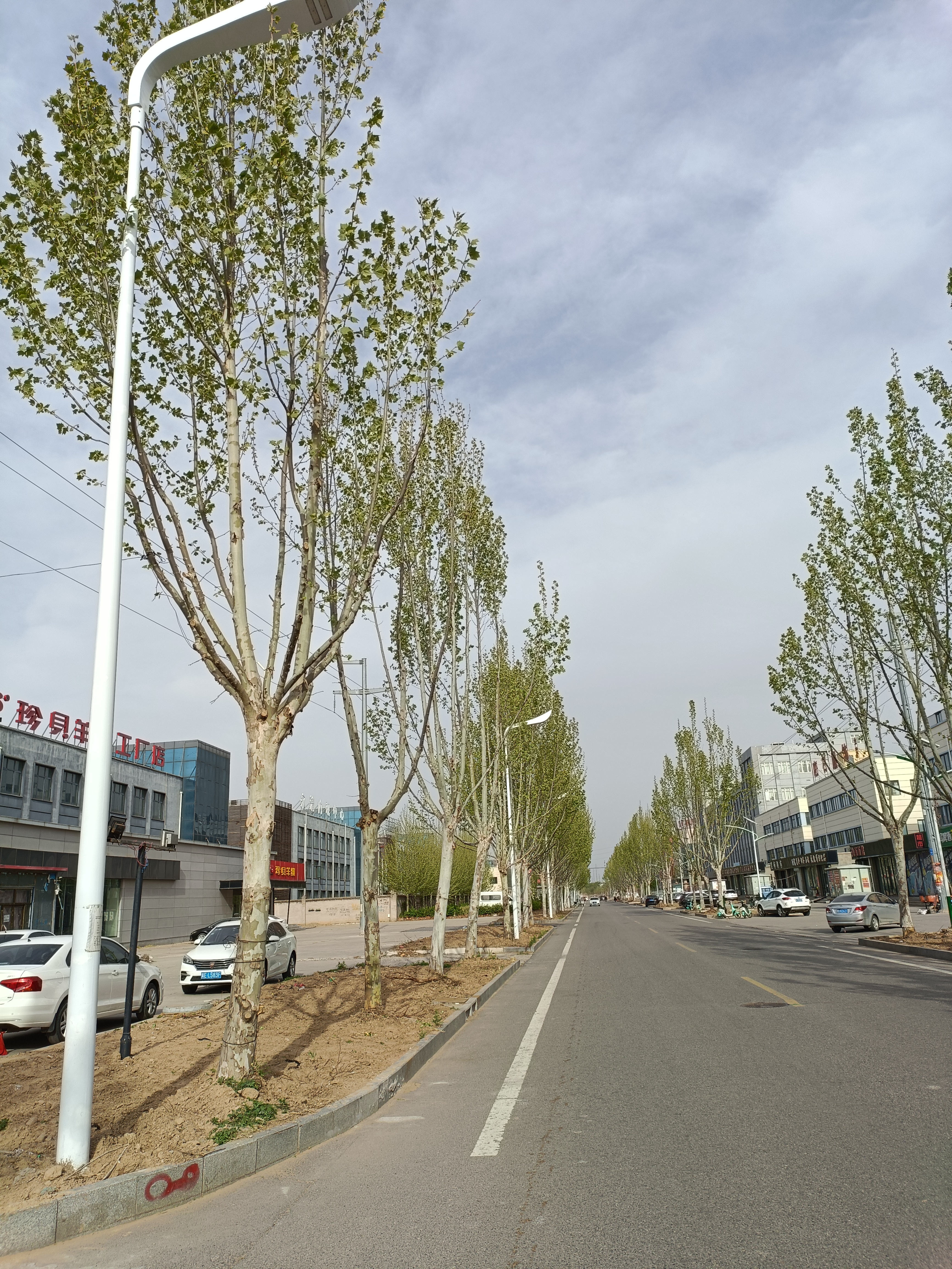 Hebei Langfang Yongqing County Road Lighting Upgrading Project