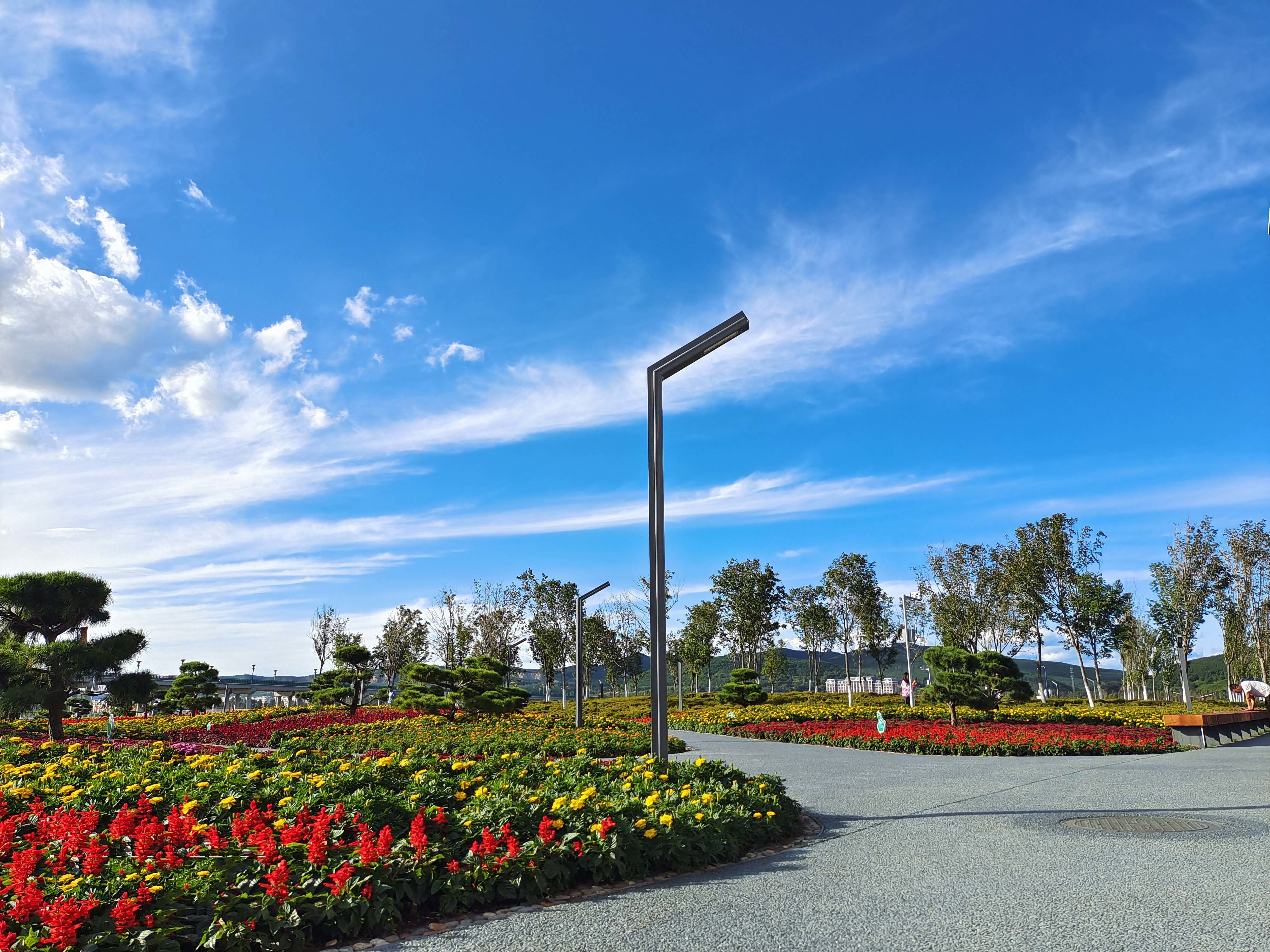 Qitaihe Taoshan Lake Wetland Park