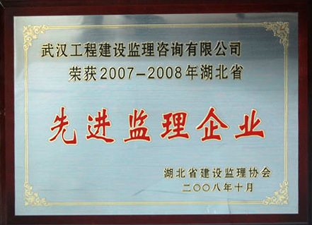 2007年中國(guó)先進(jìn)工程監(jiān)理企業(yè)