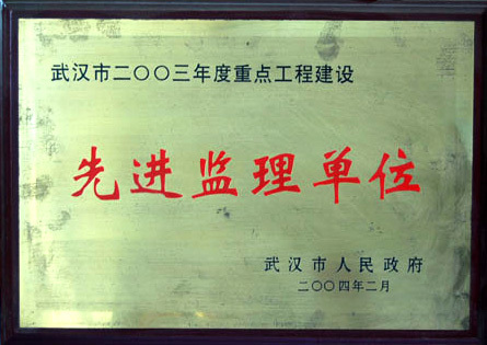 2003年武漢市先進(jìn)監(jiān)理單位