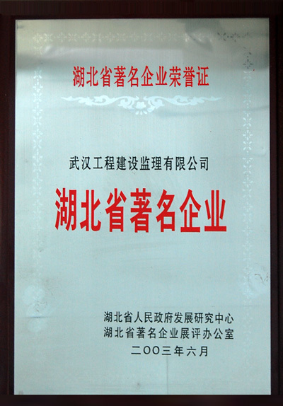湖北省著名企業(yè)