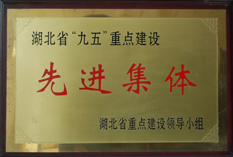 湖北省九五重點(diǎn)建設(shè)先進(jìn)集體