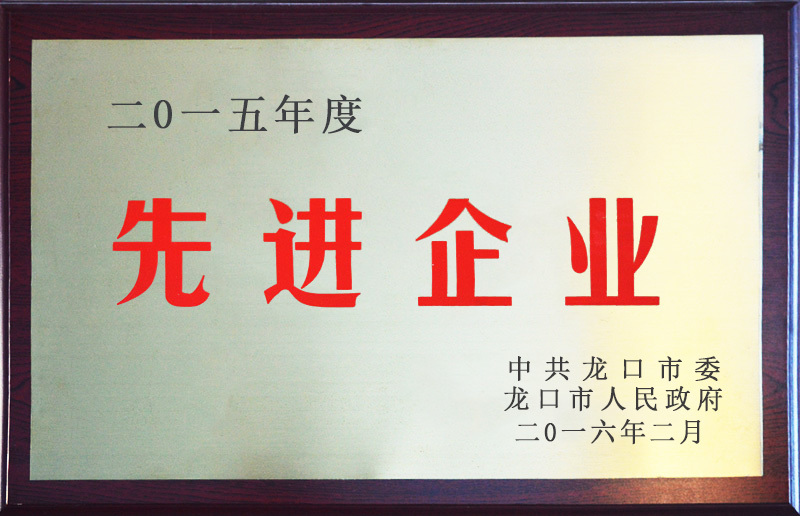 2015先進(jìn)企業(yè)