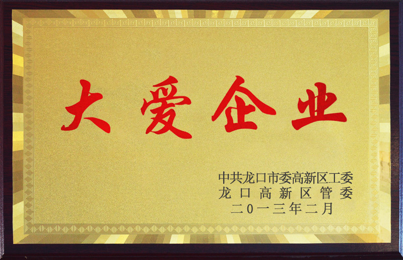 2013大愛(ài)企業(yè)